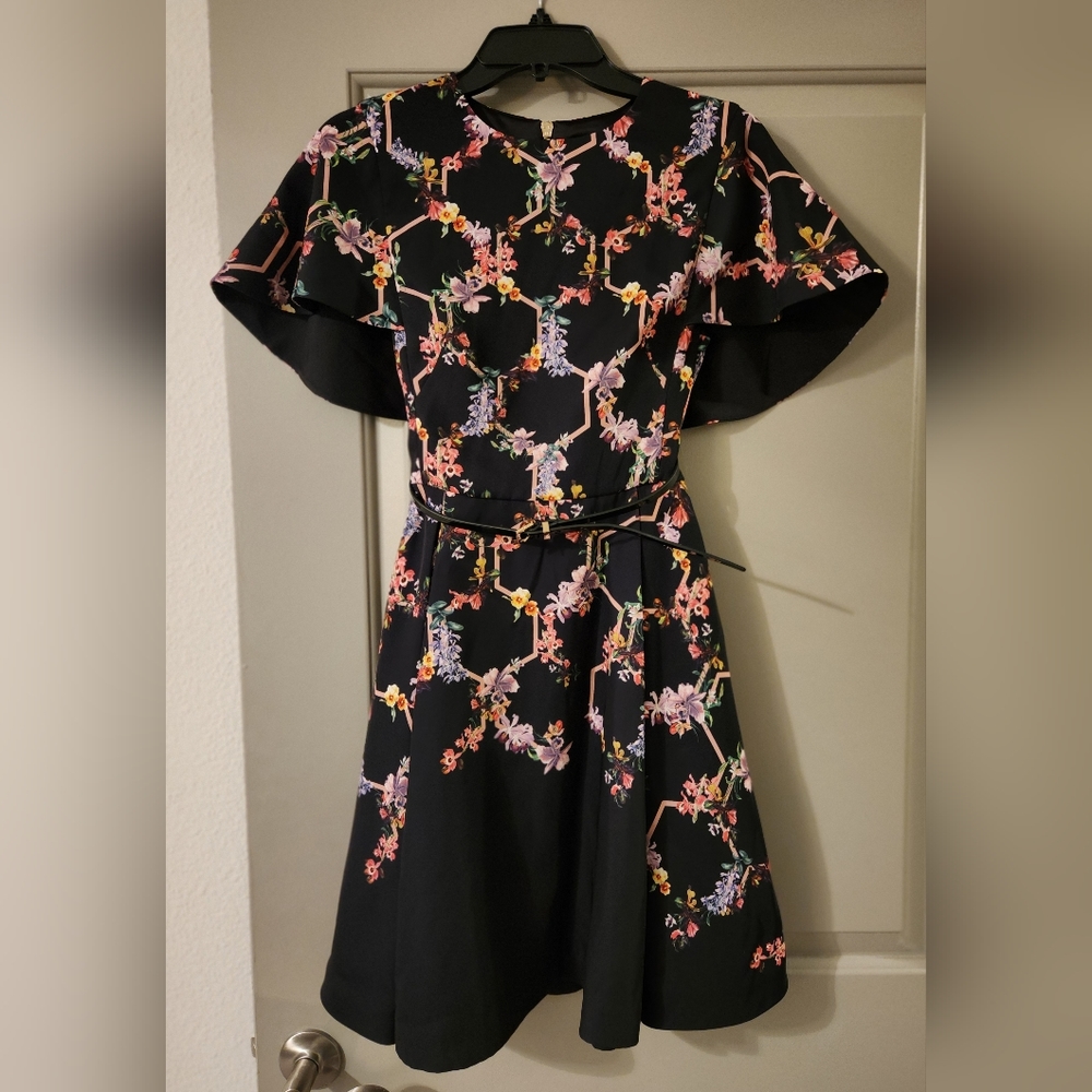 Ted Baker London Size 1 Dress (Size 1 not 0)